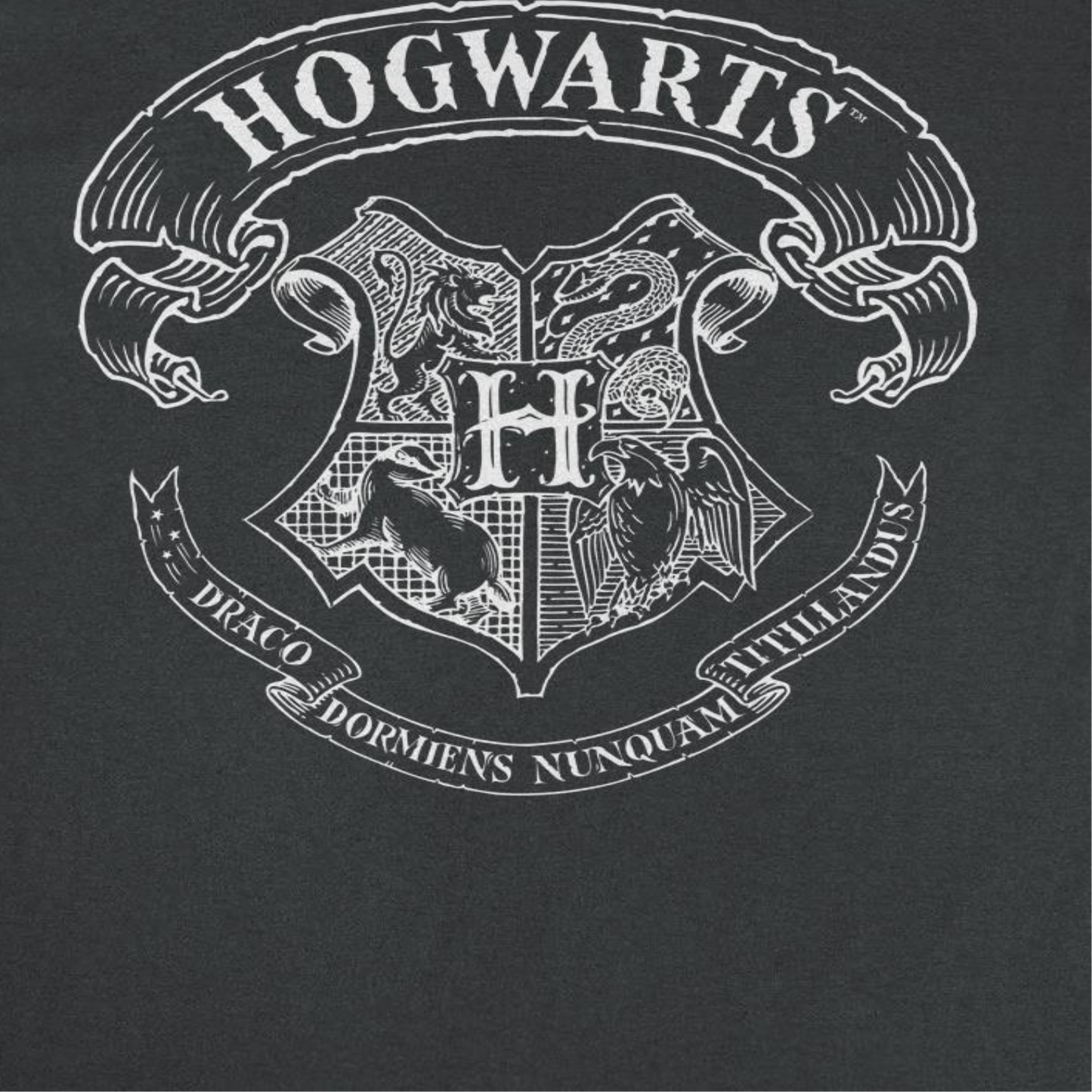 Harry Potter Draco Dormiens Nunquam Titillandus Black T-Shirt by HandyShopping4U2
