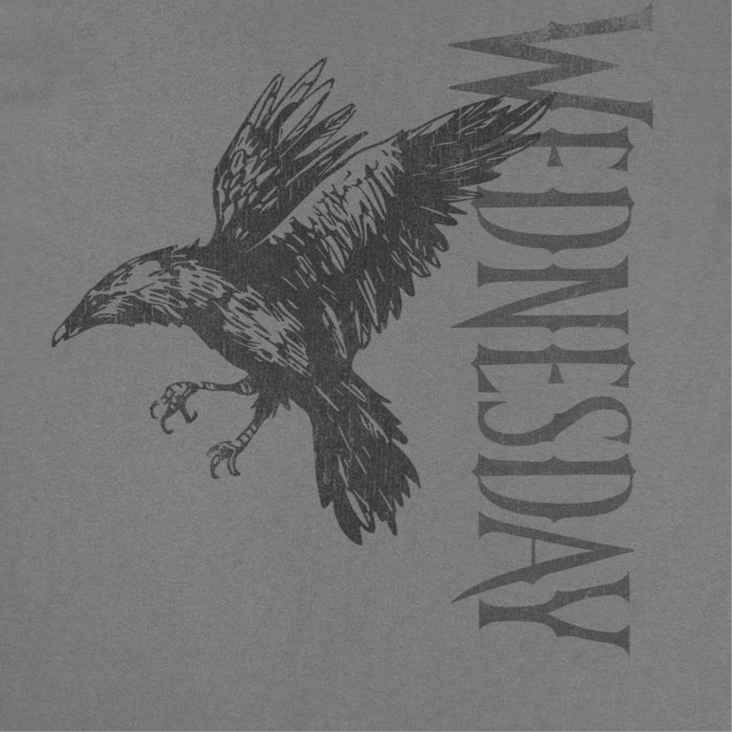 Wednesday Raven 2 Charcoal T-Shirt by HandyShopping4U2