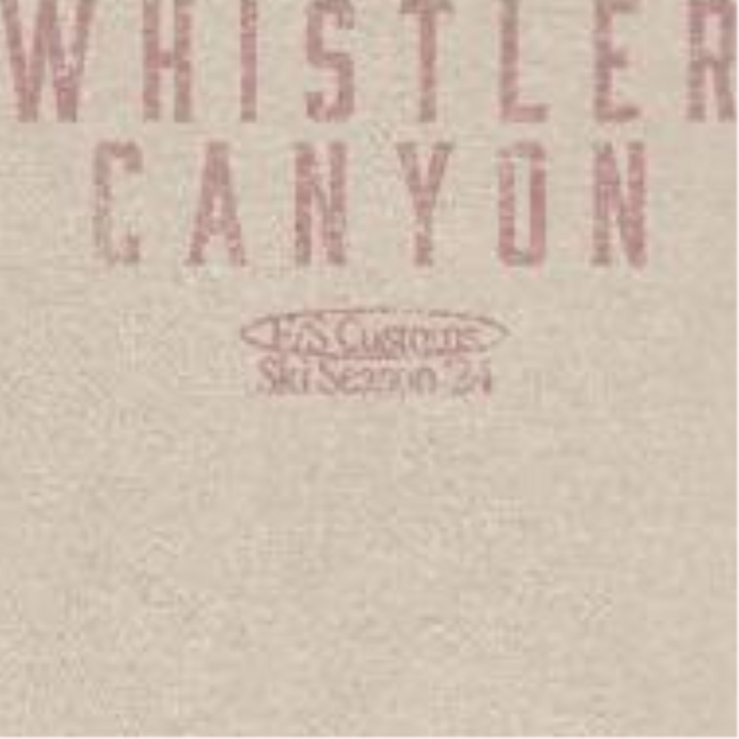 Snowboarding Whistler Light Front & Back Print T-Shirt by HandyShopping4U2