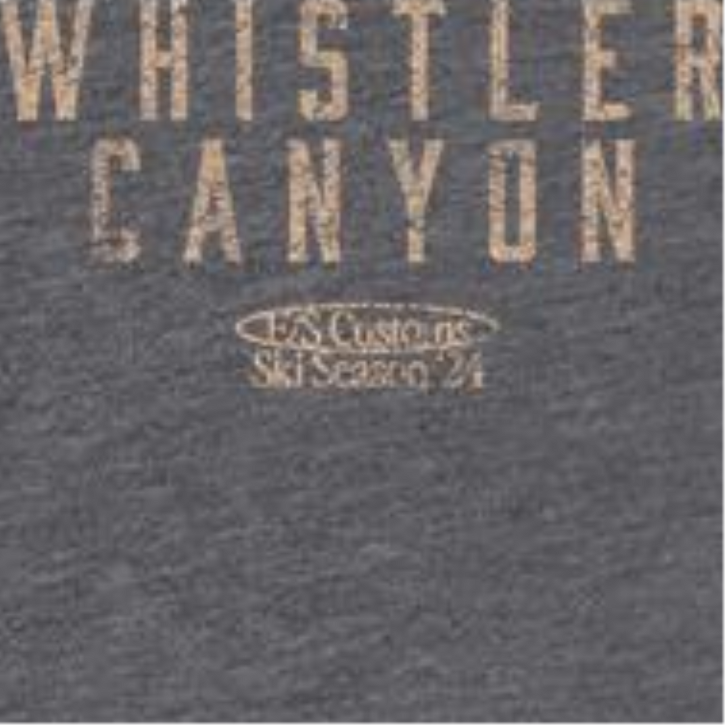 Skiing Whistler Dark Heather Front & Back Print T-Shirt by HandyShopping4U2