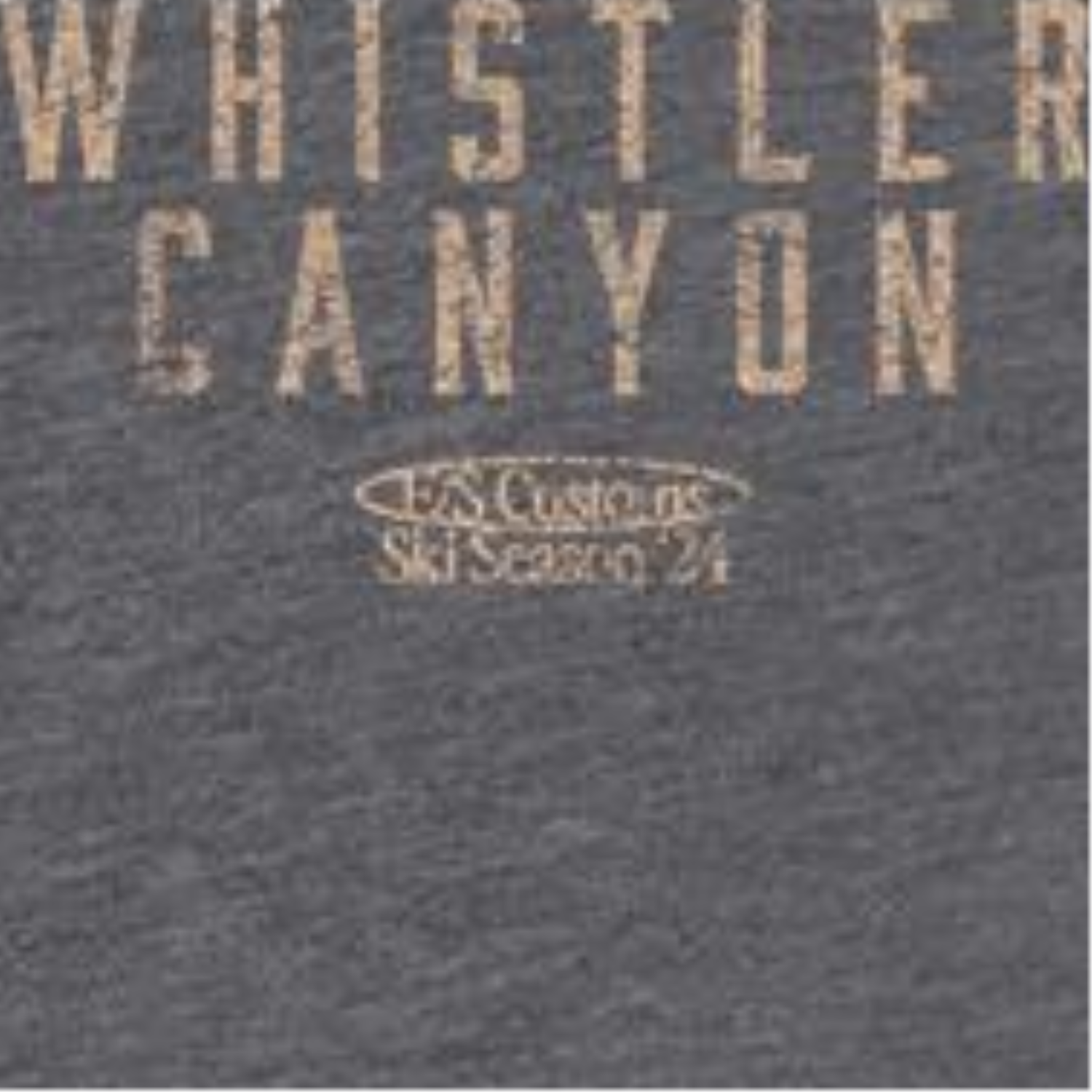Skiing Whistler Dark Heather Front & Back Print T-Shirt by HandyShopping4U2